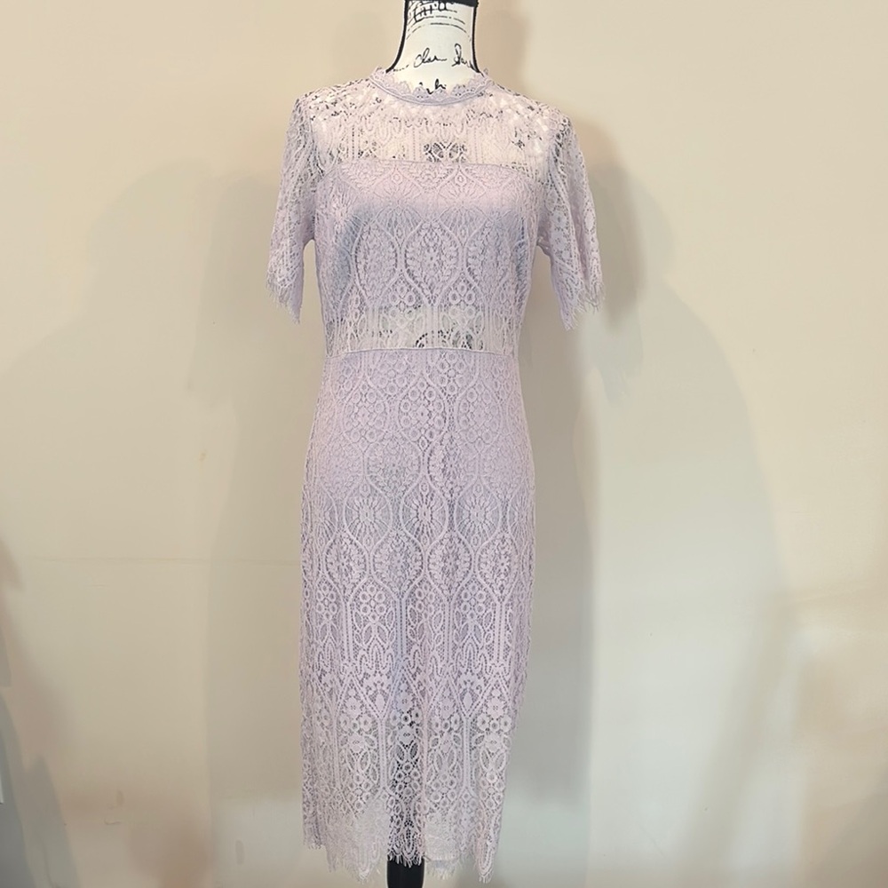 Francesca's Collections Purple Midi Dress